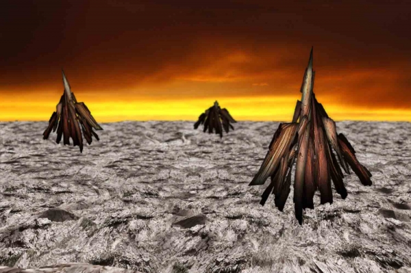 Creation of Volcano Tribe: Step 8